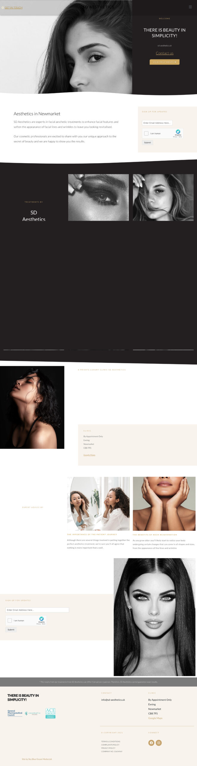 sd-aesthetics Web Design Mockup Home Page