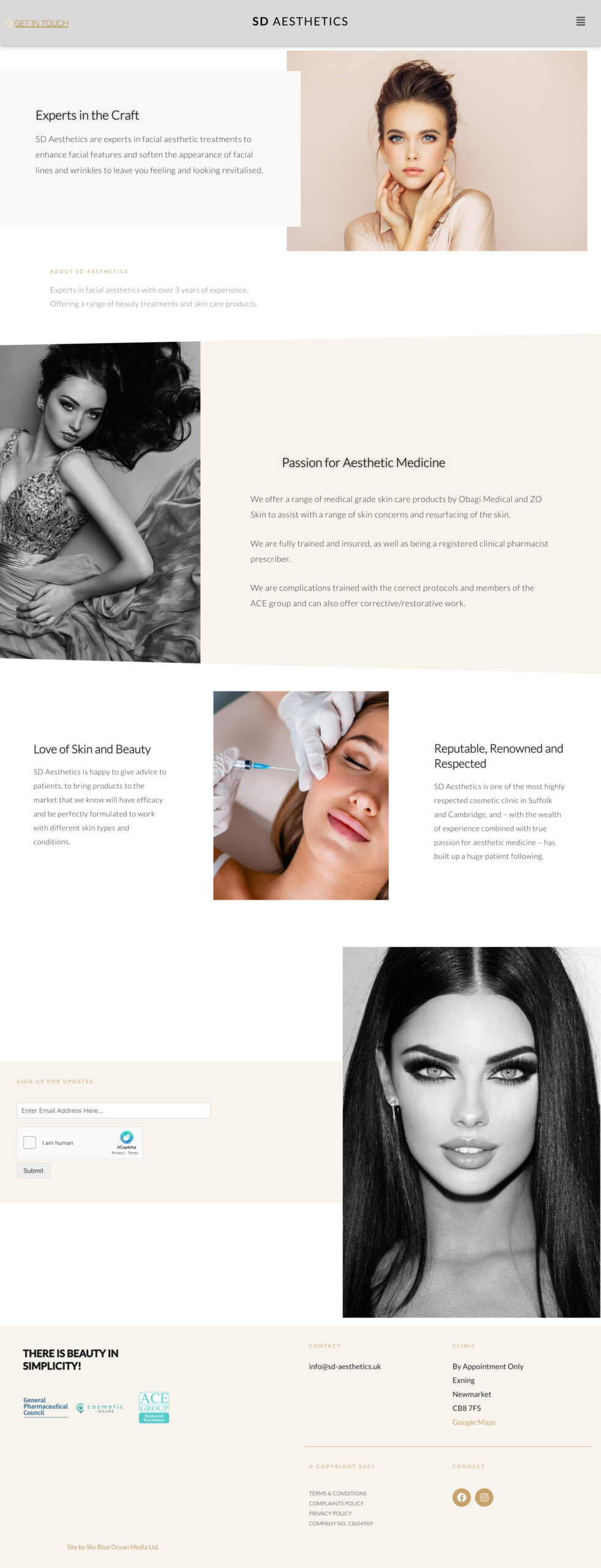 sd-aesthetics Web Design Mockup Home Page 2